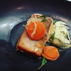 12558880_168753523500598_930675951_n