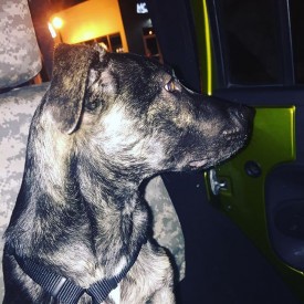 12568951_914432805318539_1052319640_n