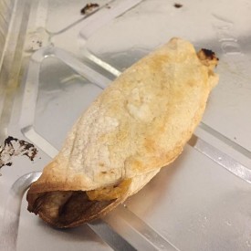 12677597_169346326773443_1893280042_n